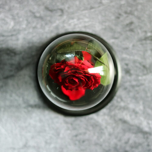 Üvegbúrás tartósított rózsa szál