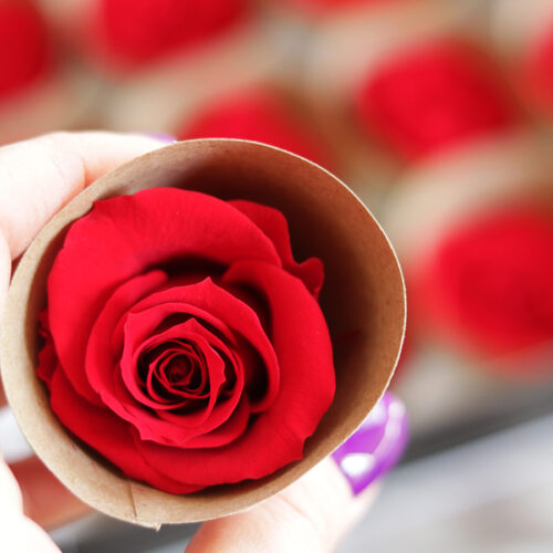Tartósított örök rózsa ajándékdoboz
