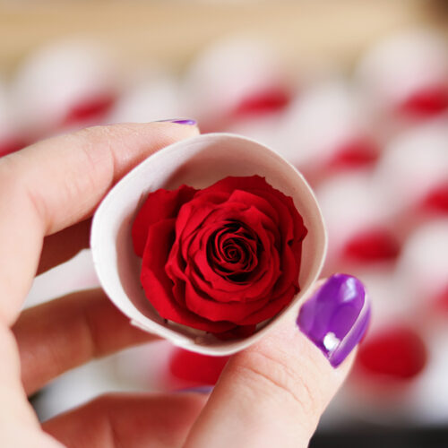 Tartósított örök rózsa ajándékdoboz